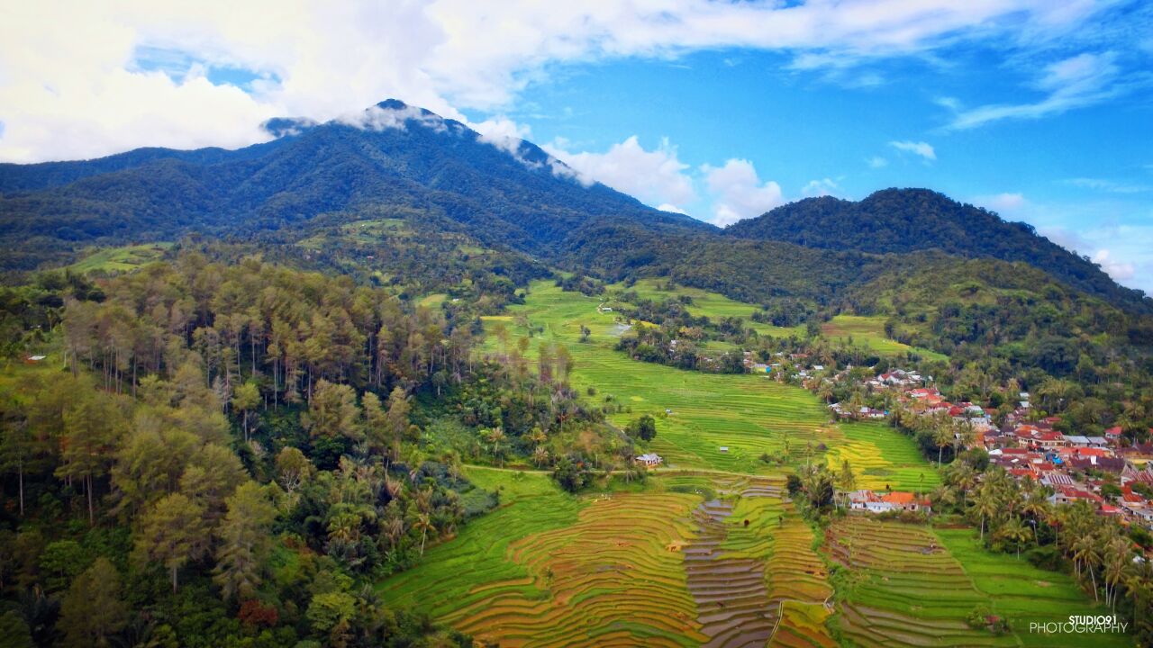 Desa Image